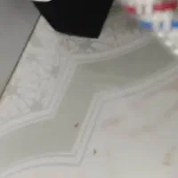 رگلاتورسی انجی