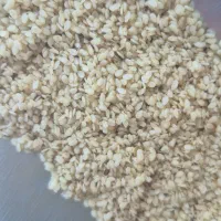 استخدام نیروی کارگر آقا