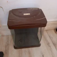 آکواریوم برند ماهیران