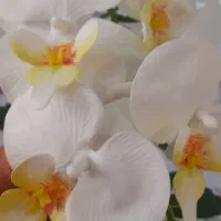 گل رو میزی|گل مصنوعی|کرج, کوی امامیه|دیوار