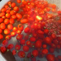 دستگاه اب گوجه گیری