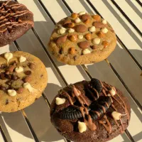 کوکی رژیمی و نیویورکی