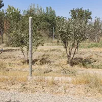 فروش باغچه ۳۵۰ متری در تنکمان