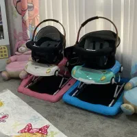 دو‌عدد روروئک دلیجان