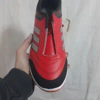 کفش ورزشی|کیف، کفش، کمربند|تبریز, |دیوار