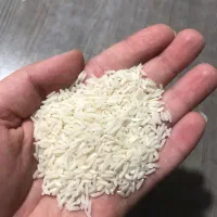 برنج هاشمی درجه ۱ آستانه