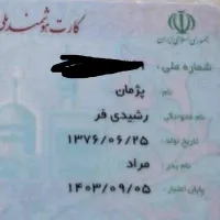 مدارک گم‌شده بنام پژمان رشیدی