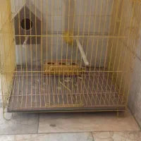 قفس پرنده فقط ۳۵۰
