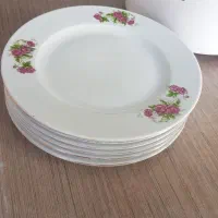 ۶عدد  گلسرخ مارک مقصود