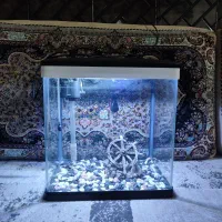 آکفاریوم دلسا k320|ماهی|تهران, نیروی هوایی (پیروزی)|دیوار