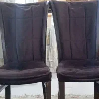 میز و صندلی غذا خوری ۴ نفره|میز و صندلی غذاخوری|اهواز, زیتون کارمندی|دیوار