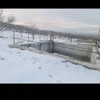 فروش باغ قطره ای