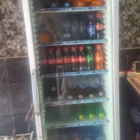 یخجال ایستاده