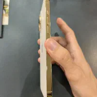 iphone 13pro max|موبایل|شیراز, زرهی|دیوار