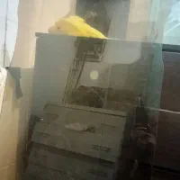 شیش میز بزرگ