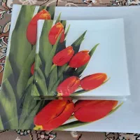 هدیه و کادویی ظروف بلور و ارکوپال