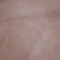 موکت