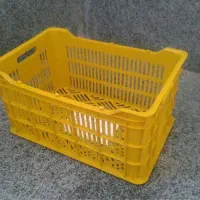 سبد میوه قیمت کارخانه|ظروف نگهدارنده، پلاستیکی، یک‌بارمصرف|قائم‌شهر, |دیوار