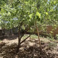 منزل مسکونی ویلایی شهر ماهان