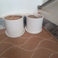 گلدان سرامیکی