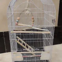 قفس طوطی|لوازم جانبی حیوانات|تهران, شهمیرزادی|دیوار