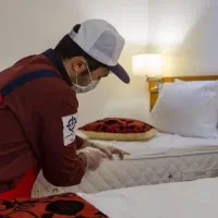 سمپاشی مرکز تخصصی سم پاشی ساس سوسک موش کنه بید کک|خدمات نظافت|تهران, صادقیه|دیوار