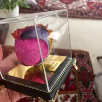 شاخه گل