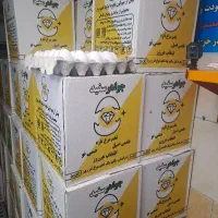 پیک موتوری پاره وقت