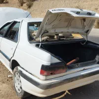 پارس تصادفی