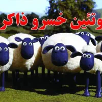 استخدام نیروی کار