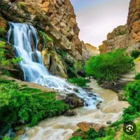 دوستان همراه