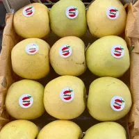 تامین میوه وصیفی جات|خدمات پذیرایی، مراسم|تهران, میدان میوه و ترهبار مرکزی|دیوار