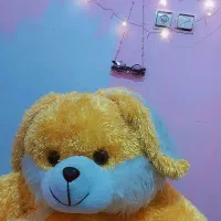 عروسک خرگوش بزرگ