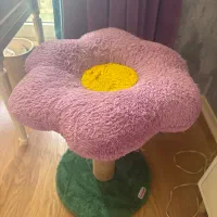 جای خواب گربه