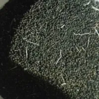 بذربامیه اصل هندی