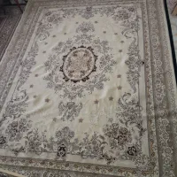 ۲عدد فرش دوازده متری|فرش|اردبیل, |دیوار