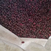 لوبیا قرمز خارجی|خوردنی و آشامیدنی|اصفهان, کوی امیریه|دیوار