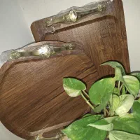 سینی وکیوم قابل شست و شوی|ظروف سرو و پذیرایی|تهران, منیریه|دیوار