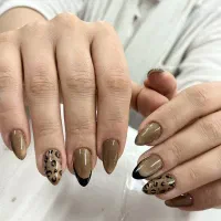 کاشت و ترمیم