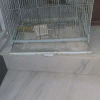 قفس بزرگ