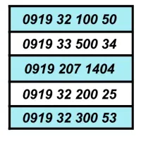 0919.226.84.82|سیمکارت|تهران, تهرانسر مرکزی|دیوار