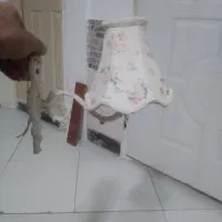 لوستر از برند English Home|لوستر و چراغ آویز|فردیس, قریشی|دیوار