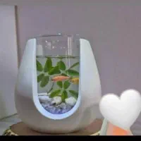 تنگ ماهی و گلدان