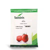 فروش انواع بذر های گلخانه ای و فضای باز|خدمات باغبانی و درختکاری|میناب, |دیوار