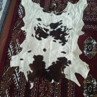 پوست گوسفند و گاو|صنایع دستی و سایر لوازم تزئینی|آق قلا, |دیوار