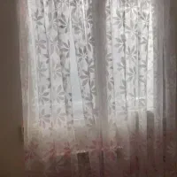 پرده|پرده، رانر، رومیزی|تهران, تهران‌نو|دیوار