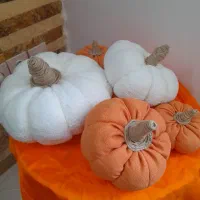 کدو تزئینی|صنایع دستی و سایر لوازم تزئینی|لنگرود, |دیوار