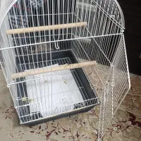 قفس پرنده عروس هلندی و برزیلی به همراه کلی وسایل