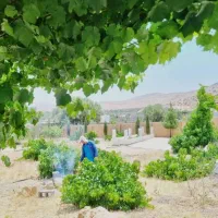 باغ شهری ۱۰۰۰ هزار متری شیراز باجگاه|فروش زمین و ملک کلنگی|شیراز, حومه شیراز|دیوار