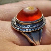 باباقوری سپوست سرخ یمنی رکاب چنگ